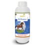 VETMIDO B-Power - Vitamin B Complex Supplement For All Classes of Horses - 1 Ltr