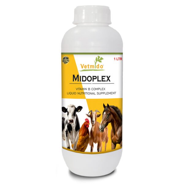 VETMIDO MidOplex - Vitamin B Complex Liquid Supplement for Poultry, Cattle, Cow, Goat & Farm Animals - 1 Ltr