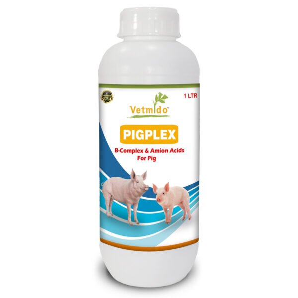VETMIDO Pigplex - Pig Growth Promoter, Vitamins, Amino Acids Supplement for Pig, Swine, Piglets & Piggery - 1 Ltr