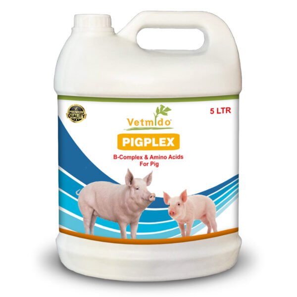 VETMIDO Pigplex - Pig Growth Promoter, Vitamins, Amino Acids Supplement for Pig, Swine, Piglets & Piggery - 5 Ltr