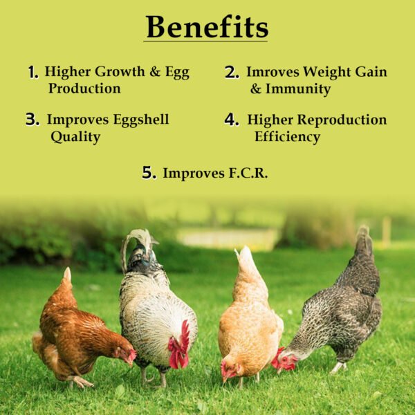 VETMIDO Super Blend Plus - Poultry Feed Premix with Multivitamins, Minerals & Probiotics - Image 2