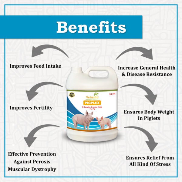 VETMIDO Pigplex - Pig Growth Promoter, Vitamins, Amino Acids Supplement for Pig, Swine, Piglets & Piggery - 5 Ltr - Image 2