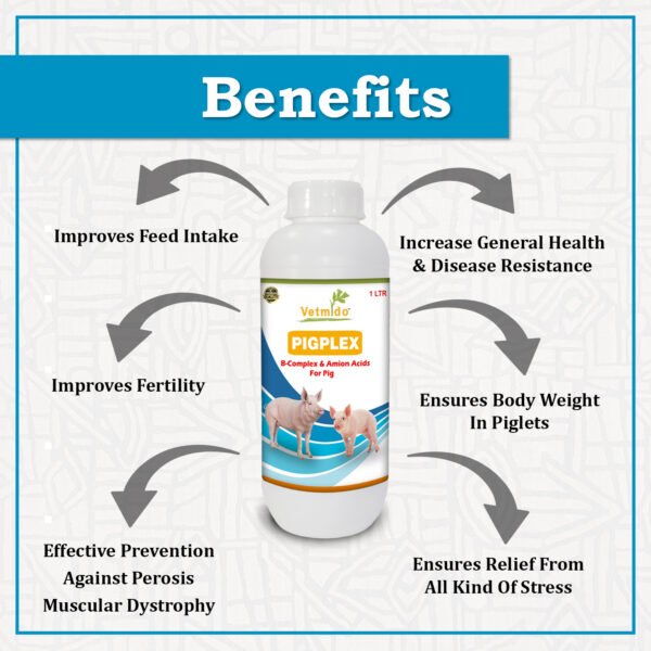 VETMIDO Pigplex - Pig Growth Promoter, Vitamins, Amino Acids Supplement for Pig, Swine, Piglets & Piggery - 1 Ltr - Image 2