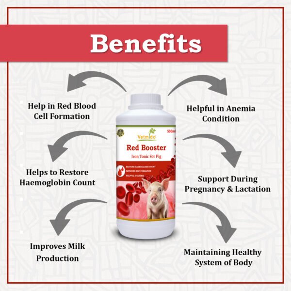 VETMIDO Red Booster - Iron Tonic Supplement for Pigs, Swine, Piglets & Piggery - 500 ML - Image 2