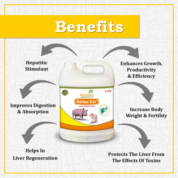 VETMIDO Swine Liv Plus - Liver Tonic Supplement, Appetite Booster for Swine, Pigs, Piglets & Piggery - 5 LTR - Image 2