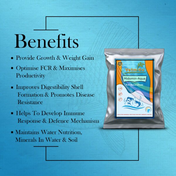 VETMIDO Midomin-Aqua - Chelated Mineral Mixture Powder Supplement Growth Booster for Fish, Shrimp, Prawn and Aquatic Animals - Image 2
