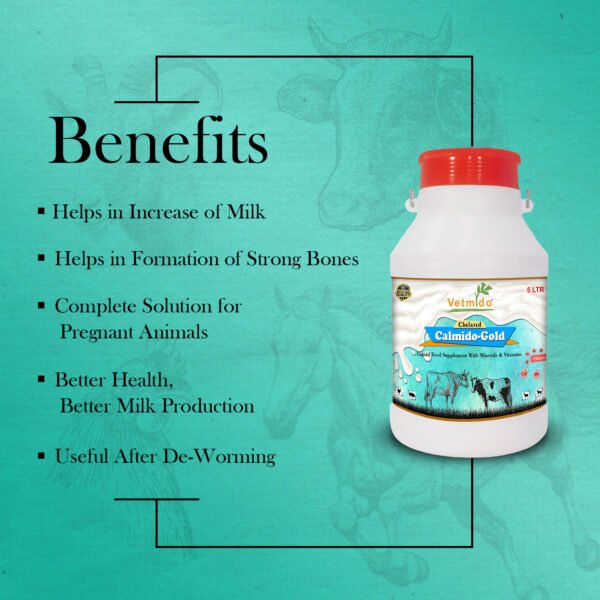 VETMIDO Calmido Gold - Chelated Liquid Calcium Supplement for Cattle, Cow, Buffalo, Goat, Pig, Poultry and Farm Animals - 5 LTR - Image 2