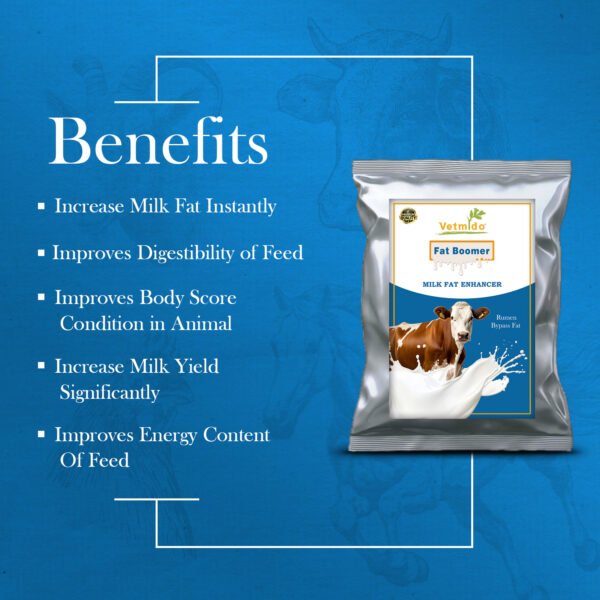 VETMIDO Fat Boomer - Rumen Bypass Fat, Energy & Milk Booster Supplement for Cattle, Cows, Buffalo and Farm Animals - Image 2