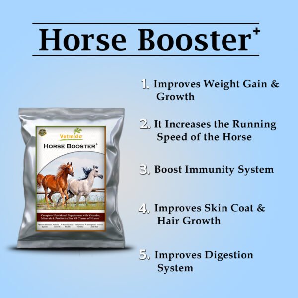 VETMIDO Horse Booster Plus - Growth Booster with Vitamins, Minerals & Probiotics For All Classes of Horses - Image 2