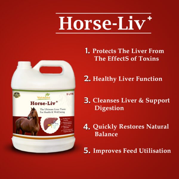 VETMIDO Horse Liv Plus - Liver Tonic Supplement For All Classes of Horses - 5 LTR - Image 2