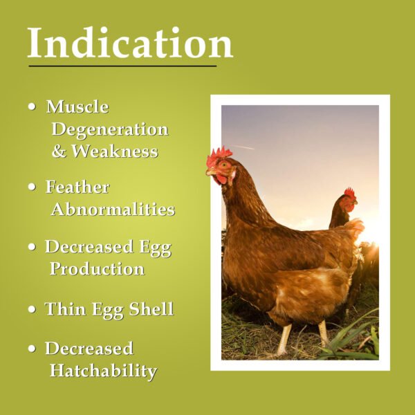 VETMIDO Super Blend Plus - Poultry Feed Premix with Multivitamins, Minerals & Probiotics - Image 3