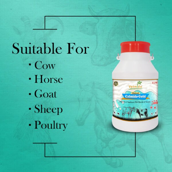 VETMIDO Calmido Gold - Chelated Liquid Calcium Supplement for Cattle, Cow, Buffalo, Goat, Pig, Poultry and Farm Animals - 5 LTR - Image 3