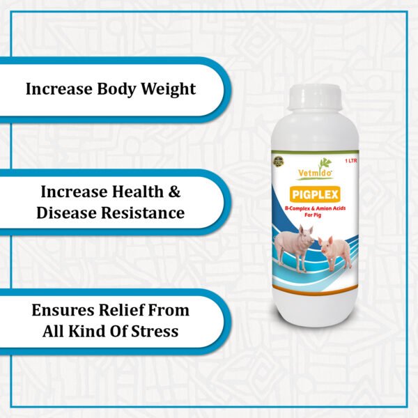 VETMIDO Pigplex - Pig Growth Promoter, Vitamins, Amino Acids Supplement for Pig, Swine, Piglets & Piggery - 1 Ltr - Image 3