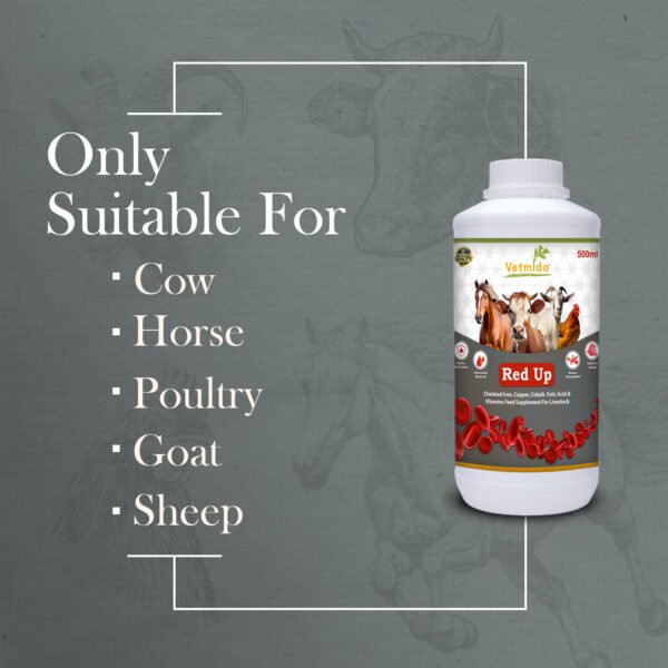VETMIDO Red Up - Iron Tonic Supplement for Cattle, Cow, Buffalo, Goat, Horse & Poultry - 500 ML - Image 3