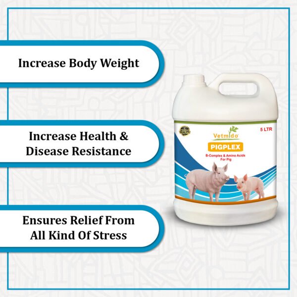 VETMIDO Pigplex - Pig Growth Promoter, Vitamins, Amino Acids Supplement for Pig, Swine, Piglets & Piggery - 5 Ltr - Image 3