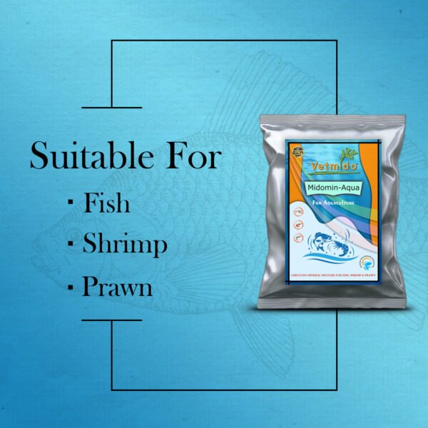VETMIDO Midomin-Aqua - Chelated Mineral Mixture Powder Supplement Growth Booster for Fish, Shrimp, Prawn and Aquatic Animals - Image 3