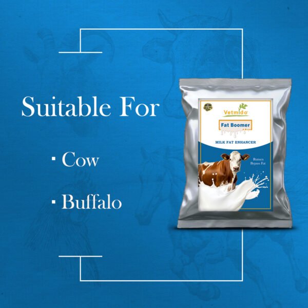 VETMIDO Fat Boomer - Rumen Bypass Fat, Energy & Milk Booster Supplement for Cattle, Cows, Buffalo and Farm Animals - Image 3