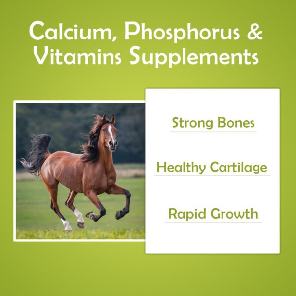 VETMIDO Calci-Horse - Calcium, Phosphorus & Vitamins Supplement For All Classes of Horses - 5 LTR - Image 3