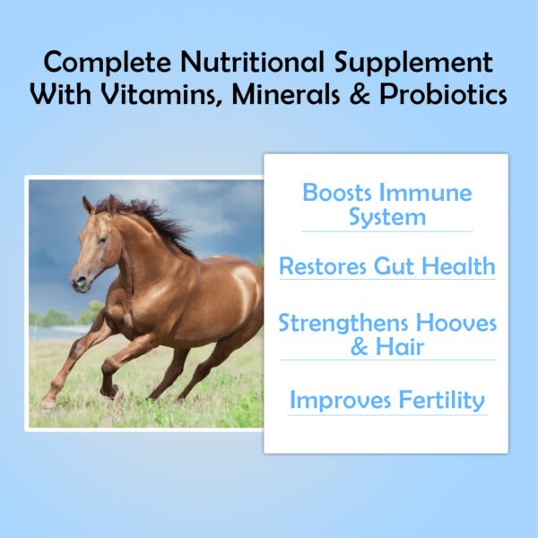 VETMIDO Horse Booster Plus - Growth Booster with Vitamins, Minerals & Probiotics For All Classes of Horses - Image 3
