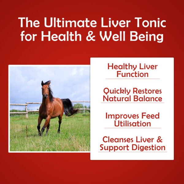 VETMIDO Horse Liv Plus - Liver Tonic Supplement For All Classes of Horses - 5 LTR - Image 3