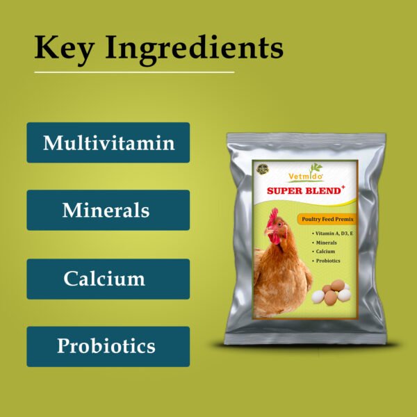 VETMIDO Super Blend Plus - Poultry Feed Premix with Multivitamins, Minerals & Probiotics - Image 4