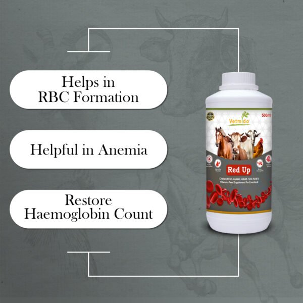 VETMIDO Red Up - Iron Tonic Supplement for Cattle, Cow, Buffalo, Goat, Horse & Poultry - 500 ML - Image 4