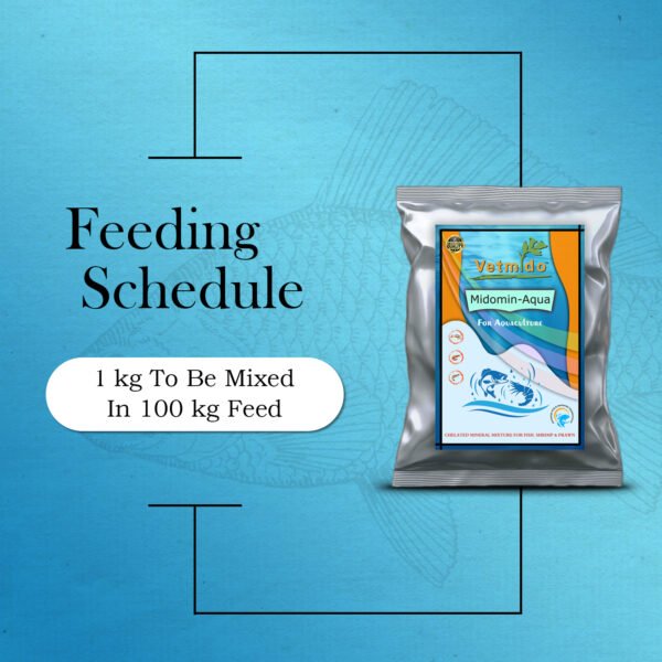 VETMIDO Midomin-Aqua - Chelated Mineral Mixture Powder Supplement Growth Booster for Fish, Shrimp, Prawn and Aquatic Animals - Image 4