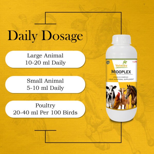 VETMIDO MidOplex - Vitamin B Complex Liquid Supplement for Poultry, Cattle, Cow, Goat & Farm Animals - 1 Ltr - Image 4