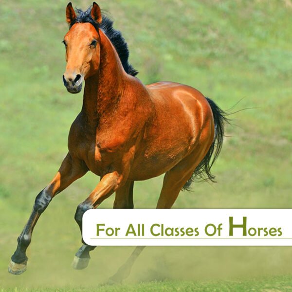 VETMIDO Calci-Horse - Calcium, Phosphorus & Vitamins Supplement For All Classes of Horses - 5 LTR - Image 4