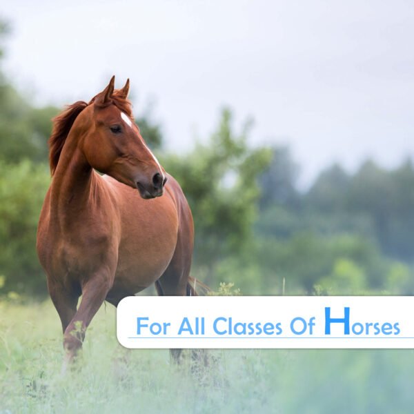 VETMIDO Horse Booster Plus - Growth Booster with Vitamins, Minerals & Probiotics For All Classes of Horses - Image 4