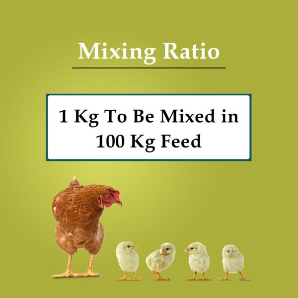 VETMIDO Super Blend Plus - Poultry Feed Premix with Multivitamins, Minerals & Probiotics - Image 5