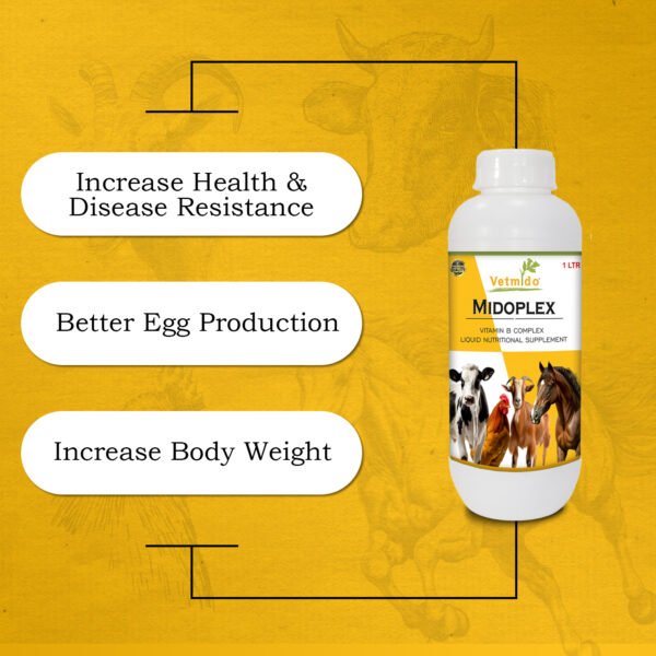 VETMIDO MidOplex - Vitamin B Complex Liquid Supplement for Poultry, Cattle, Cow, Goat & Farm Animals - 1 Ltr - Image 5