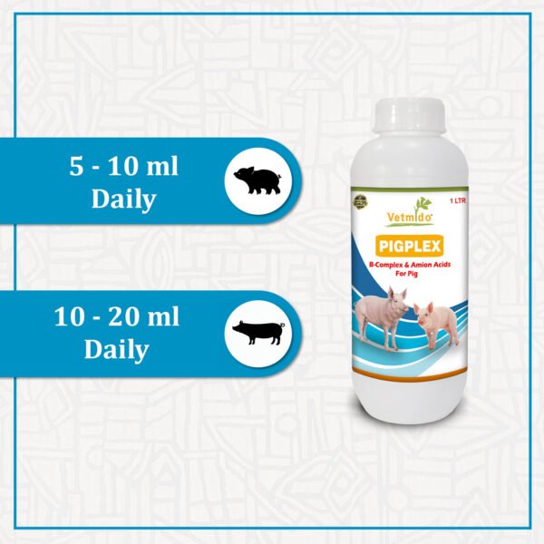 VETMIDO Pigplex - Pig Growth Promoter, Vitamins, Amino Acids Supplement for Pig, Swine, Piglets & Piggery - 1 Ltr - Image 5