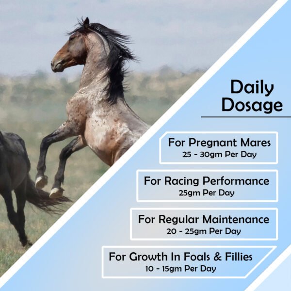 VETMIDO Horse Booster Plus - Growth Booster with Vitamins, Minerals & Probiotics For All Classes of Horses - Image 5