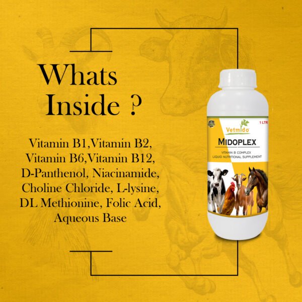 VETMIDO MidOplex - Vitamin B Complex Liquid Supplement for Poultry, Cattle, Cow, Goat & Farm Animals - 1 Ltr - Image 6