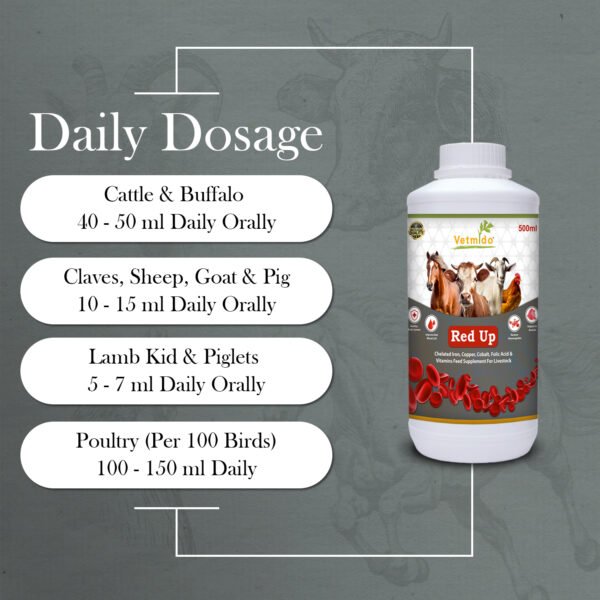 VETMIDO Red Up - Iron Tonic Supplement for Cattle, Cow, Buffalo, Goat, Horse & Poultry - 500 ML - Image 6