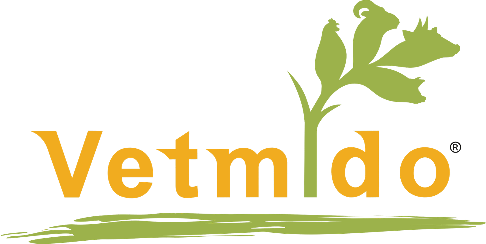 vetmido