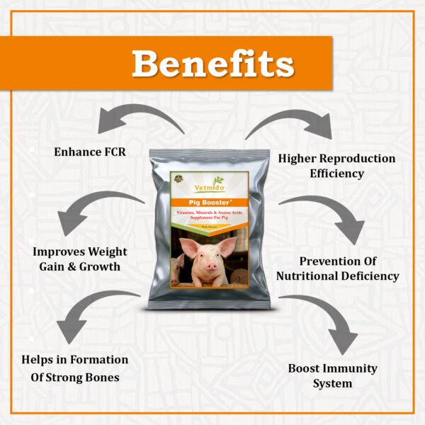 VETMIDO Pig Booster Plus - Growth Booster with Vitamins, Minerals & Amino Acids Supplement for Pigs, Swine, Piglets & Piggery - 5 kg - Image 2