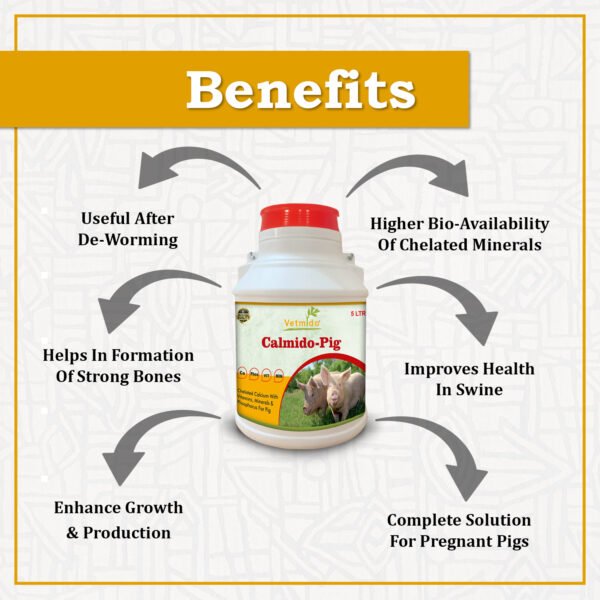 VETMIDO Calmido Pig - Calcium Supplement for Pig, Swine, Piglets & Piggery (5Ltr x 2) Combo - Pack of 2 - Image 2