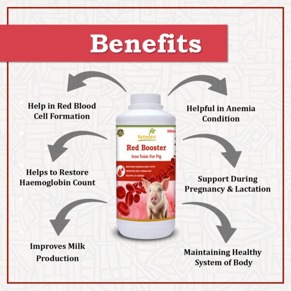 VETMIDO Red Booster - Iron Tonic Supplement for Pigs, Swine, Piglets & Piggery (500ml x 2) Combo - Pack of 2 - Image 2