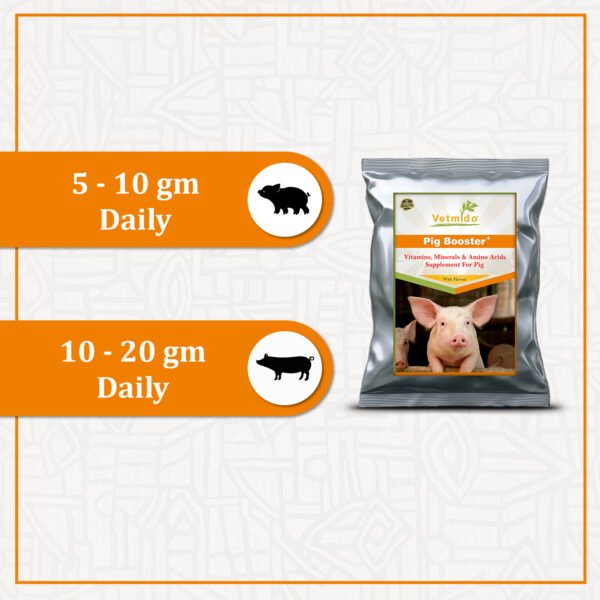 VETMIDO Pig Booster Plus - Growth Booster with Vitamins, Minerals & Amino Acids Supplement for Pigs, Swine, Piglets & Piggery - 5 kg - Image 5