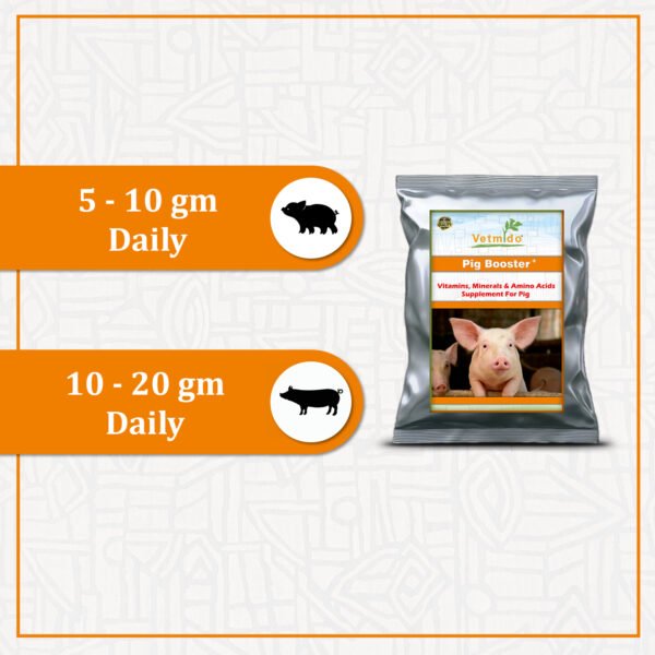VETMIDO Pig Booster Plus - Growth Booster with Vitamins, Minerals & Amino Acids Supplement For Pigs, Swine, Piglets & Piggery (5kg x 2) Combo - Pack of 2 - Image 6