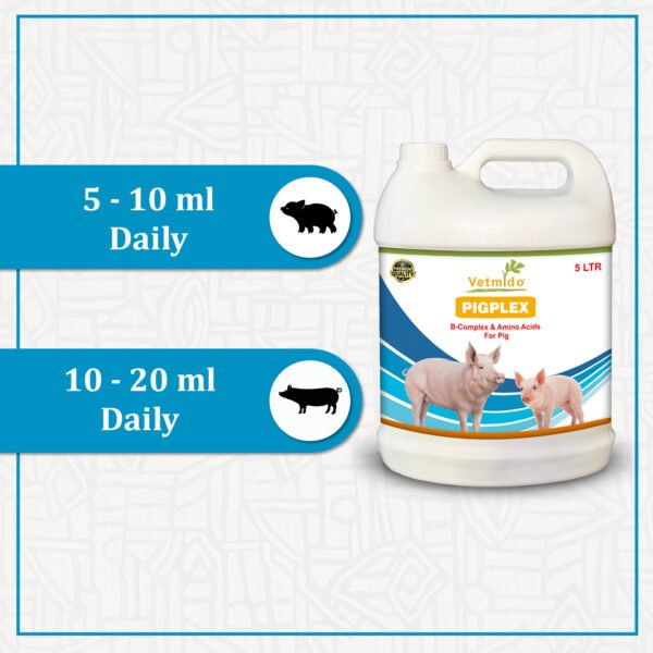 VETMIDO Pigplex - Pig Growth Promoter, Vitamins, Amino Acids Supplement for Pig, Swine, Piglets & Piggery (5Ltr x 2) Combo - Pack of 2 - Image 5