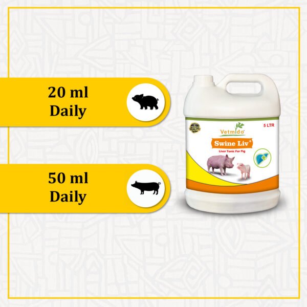 VETMIDO Swine Liv Plus - Liver Tonic Supplement, Appetite Booster for Swine, Pigs, Piglets & Piggery (5Ltr x 2) Combo - Pack of 2 - Image 5