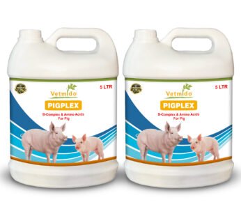 VETMIDO Pigplex – Pig Growth Promoter, Vitamins, Amino Acids Supplement for Pig, Swine, Piglets & Piggery (5Ltr x 2) Combo – Pack of 2